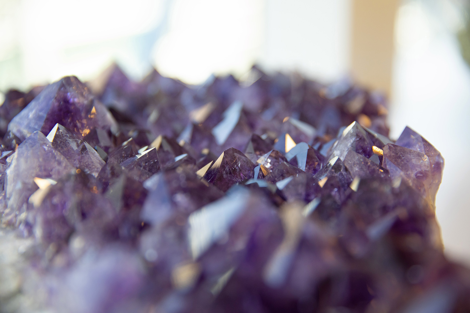 Scenic Eclipse II - POWER: Yoga & Pilates Studio